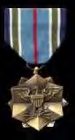 DOD Joint Service Medal